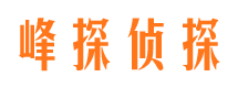 沙湾区私人侦探